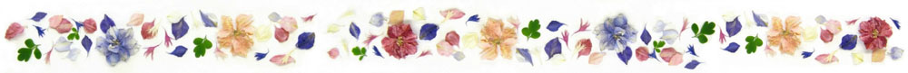 confetti petals banner – scatter petals confetti petals flower petals banner