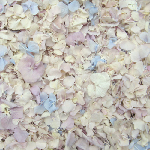 pre-mixed hydrangeas petals