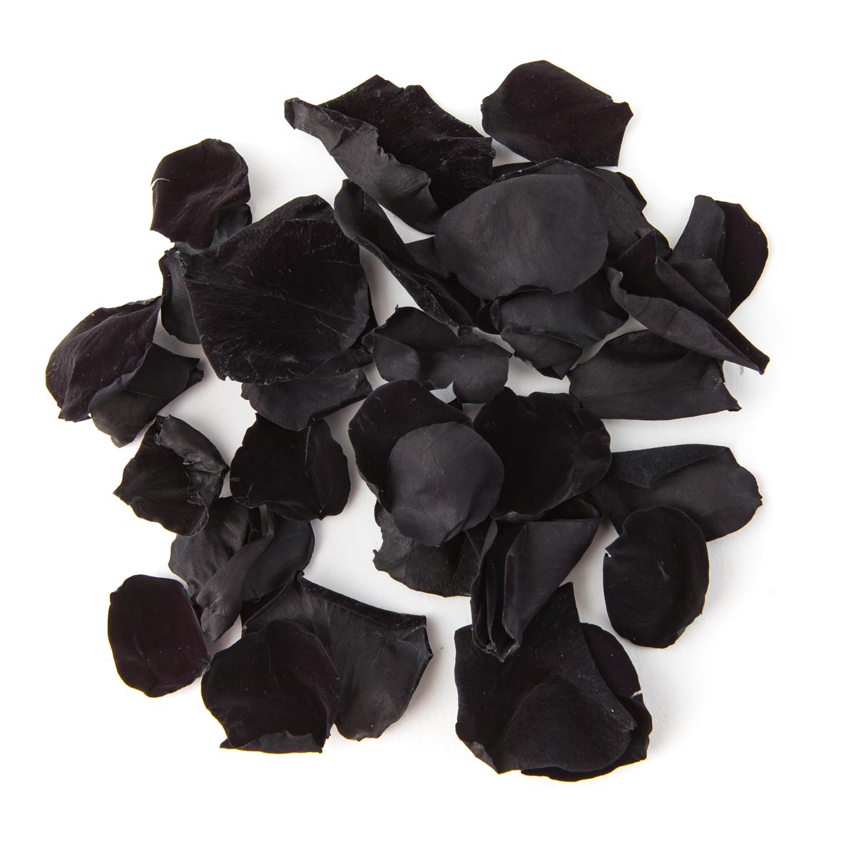 Halloween Wedding Confetti