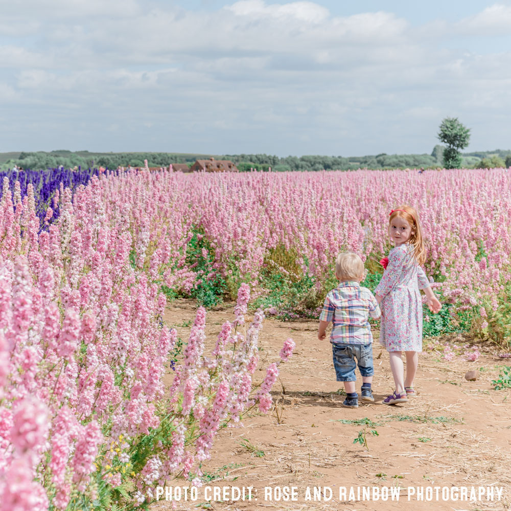 Rose and Rainbow Photography – The Confetti Flower Field – The Real Flower Petal Confetti Company Worcestershire Rose and Rainbow Photography - The Confetti Flower Field - The Real Flower Petal Confetti Company Worcestershire