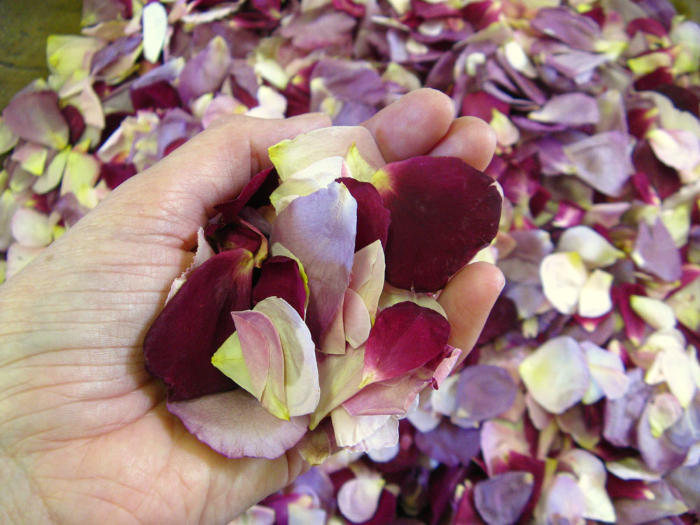 Rose Petals – a bespoke mix Rose Petals - a bespoke mix