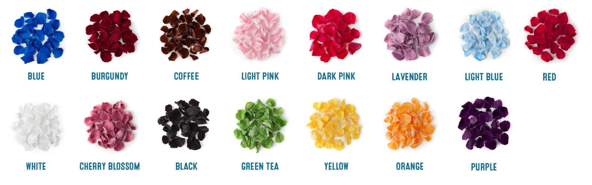 ROSE PETALS COLOURED COLOURS