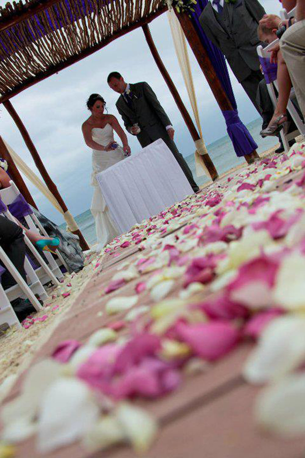 Rose Petals The Real Flower Petal Confetti Company