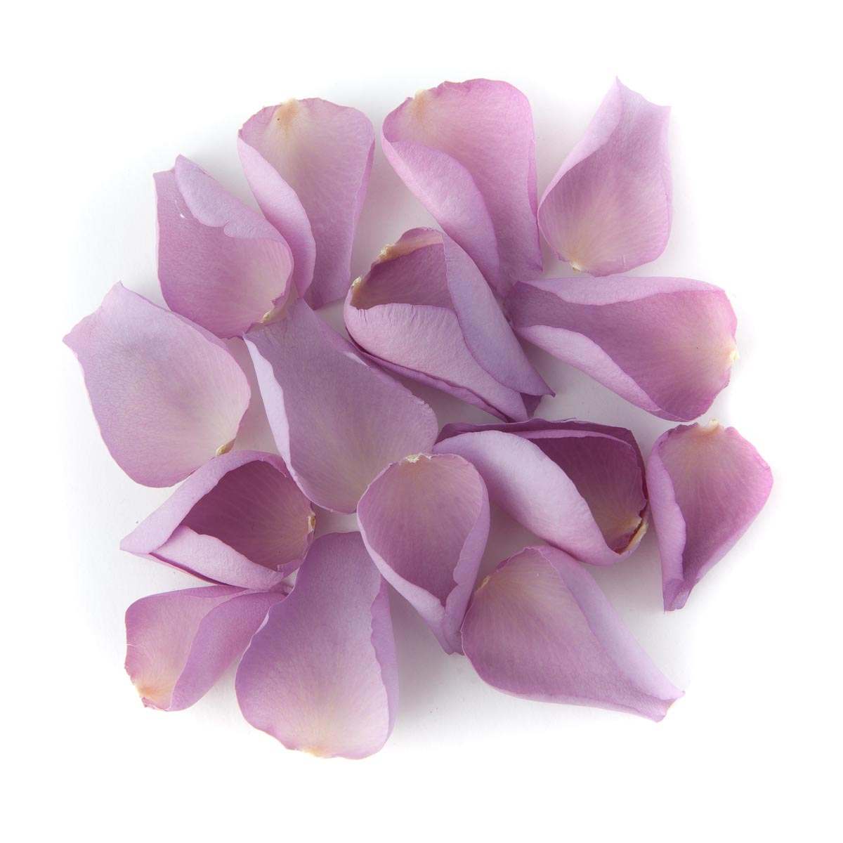 Petal Confetti - Mauve Large Natural Rose Petals