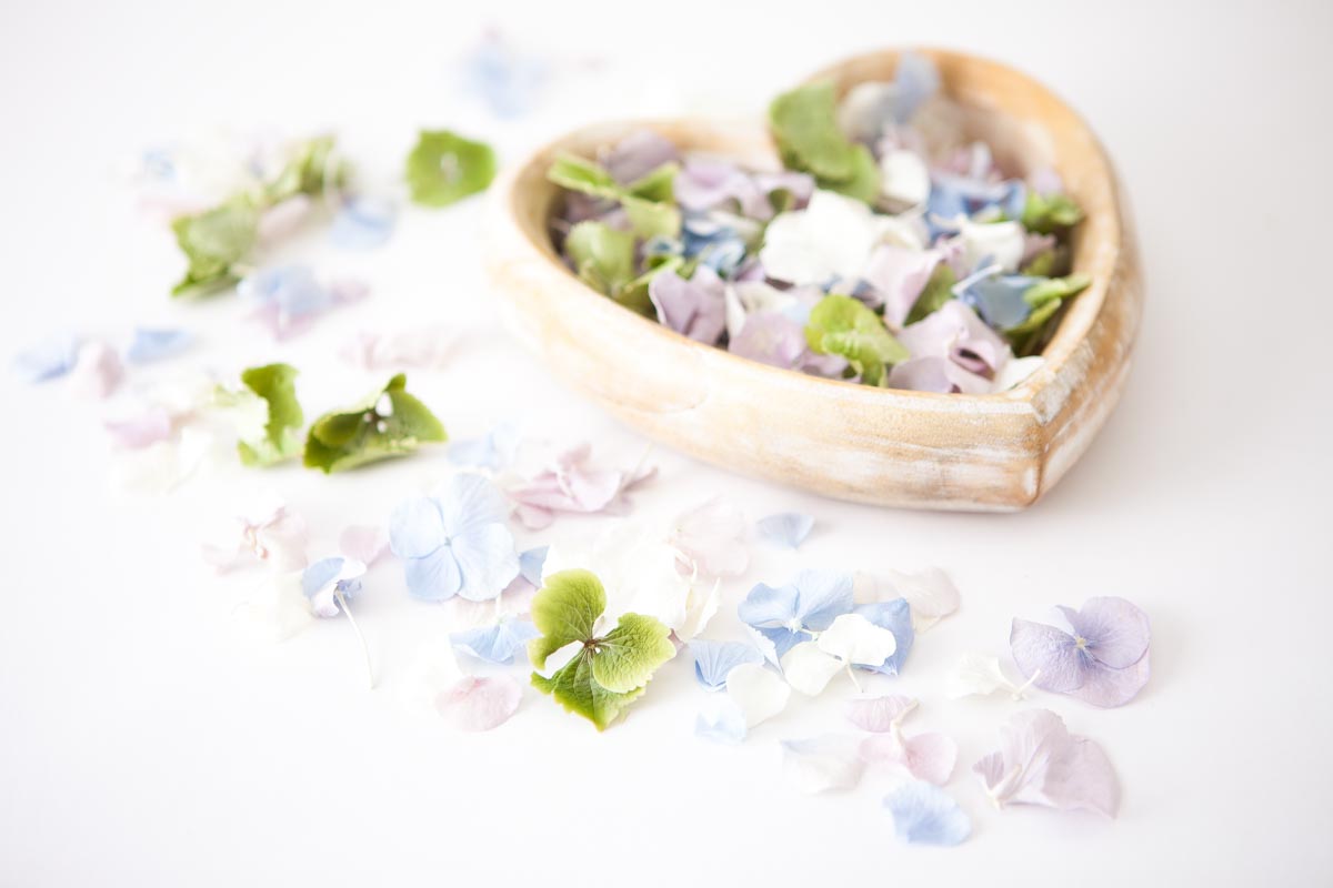 Petal Confetti – Hydrangea Petal heart Petal Confetti - Hydrangea Petal heart