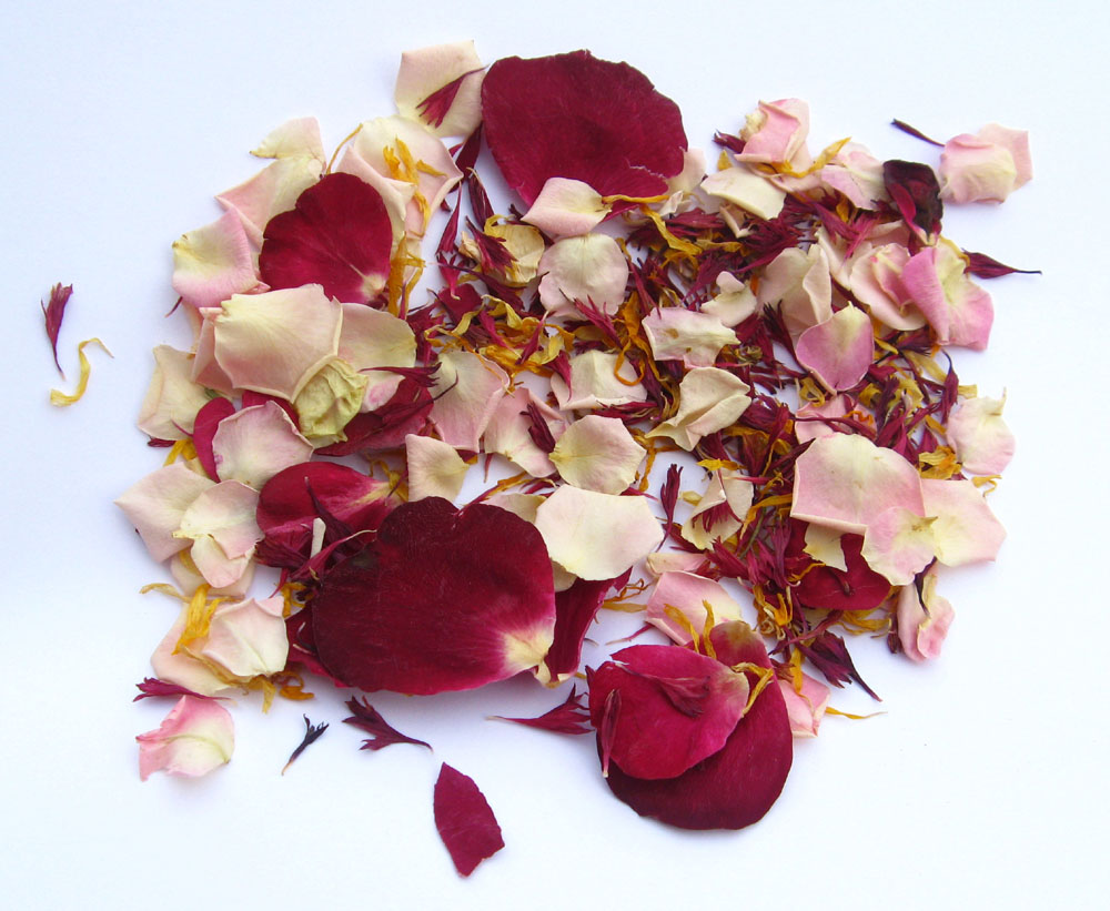 Petal Confetti - Claret and Marigold Wildflower Petals with Baby Pink , Merlot and Bright Red Small Natural Rose Petals