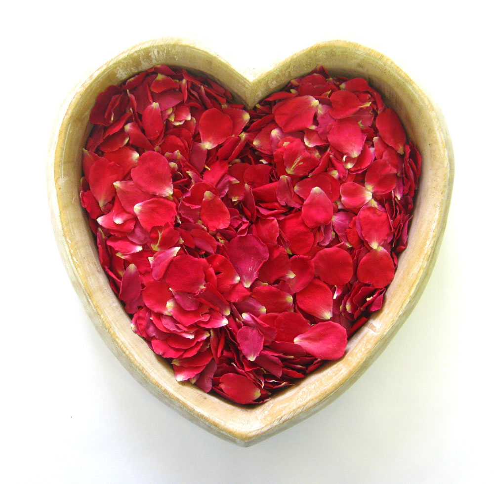 Petal Confetti – Red Small Natural Rose Petals Petal Confetti - Red Small Natural Rose Petals