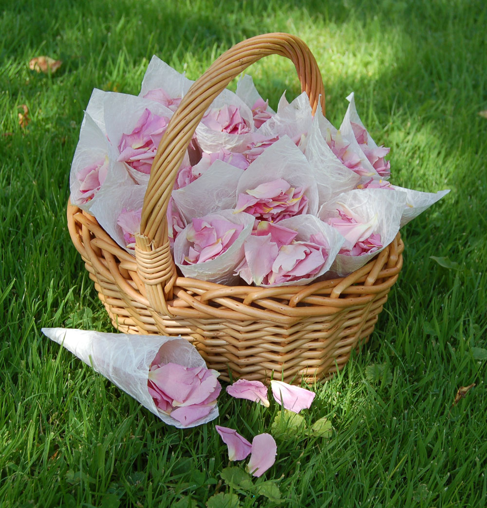 Petal Confetti A guide to your Real Flower Petal Wedding Confetti options