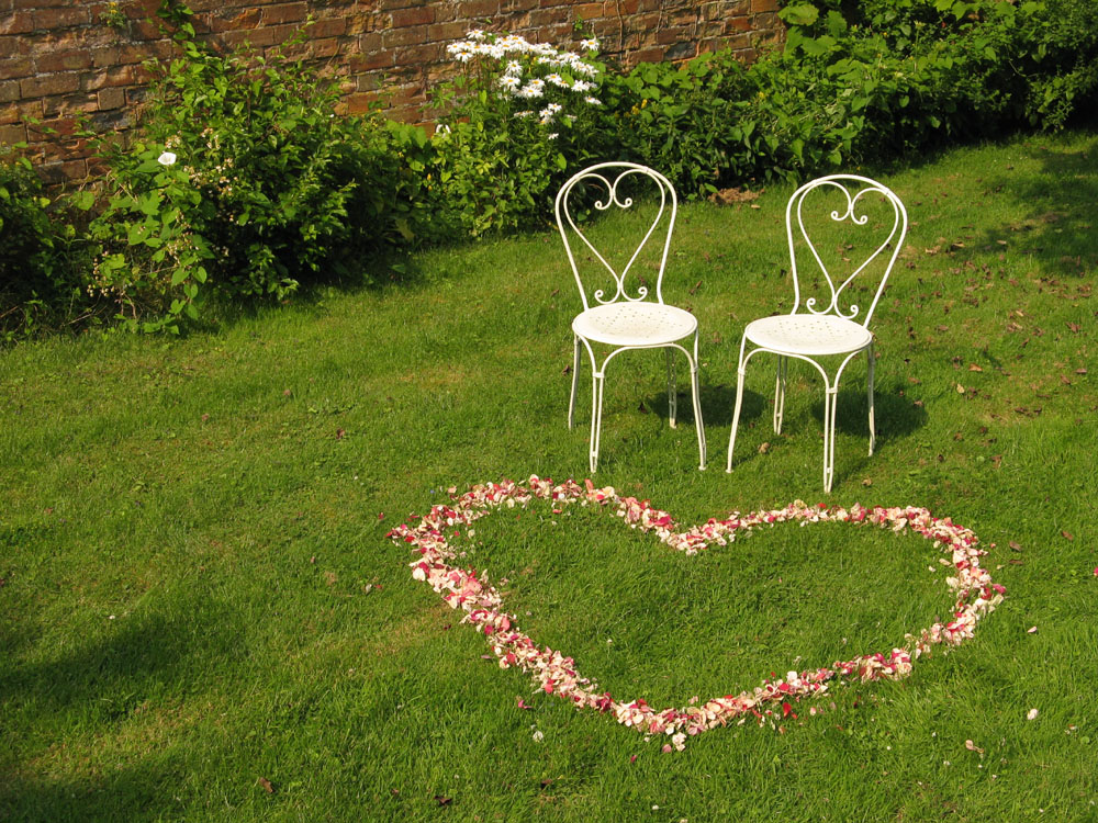 Red Rose Petals - Ceremony Decorations