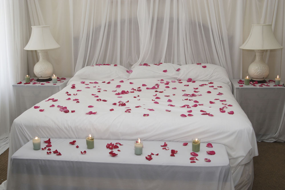 Red Rose Petals - petal scattered bed