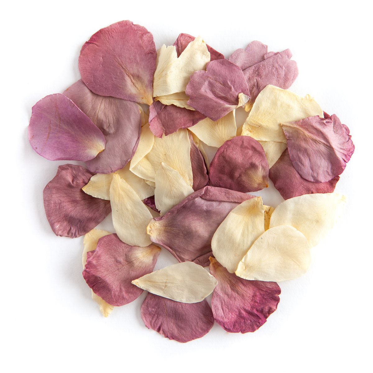 Lilac & Cream rose petals - Biodegradable Rose Petal Confetti - Real Flower Petal Confetti