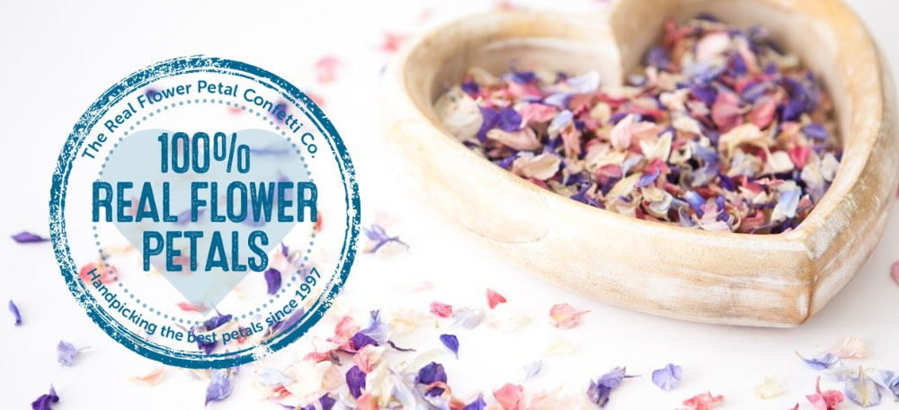 The Real Flower Petal Confetti Company – delphinium petal confetti The Real Flower Petal Confetti Company - delphinium petal confetti