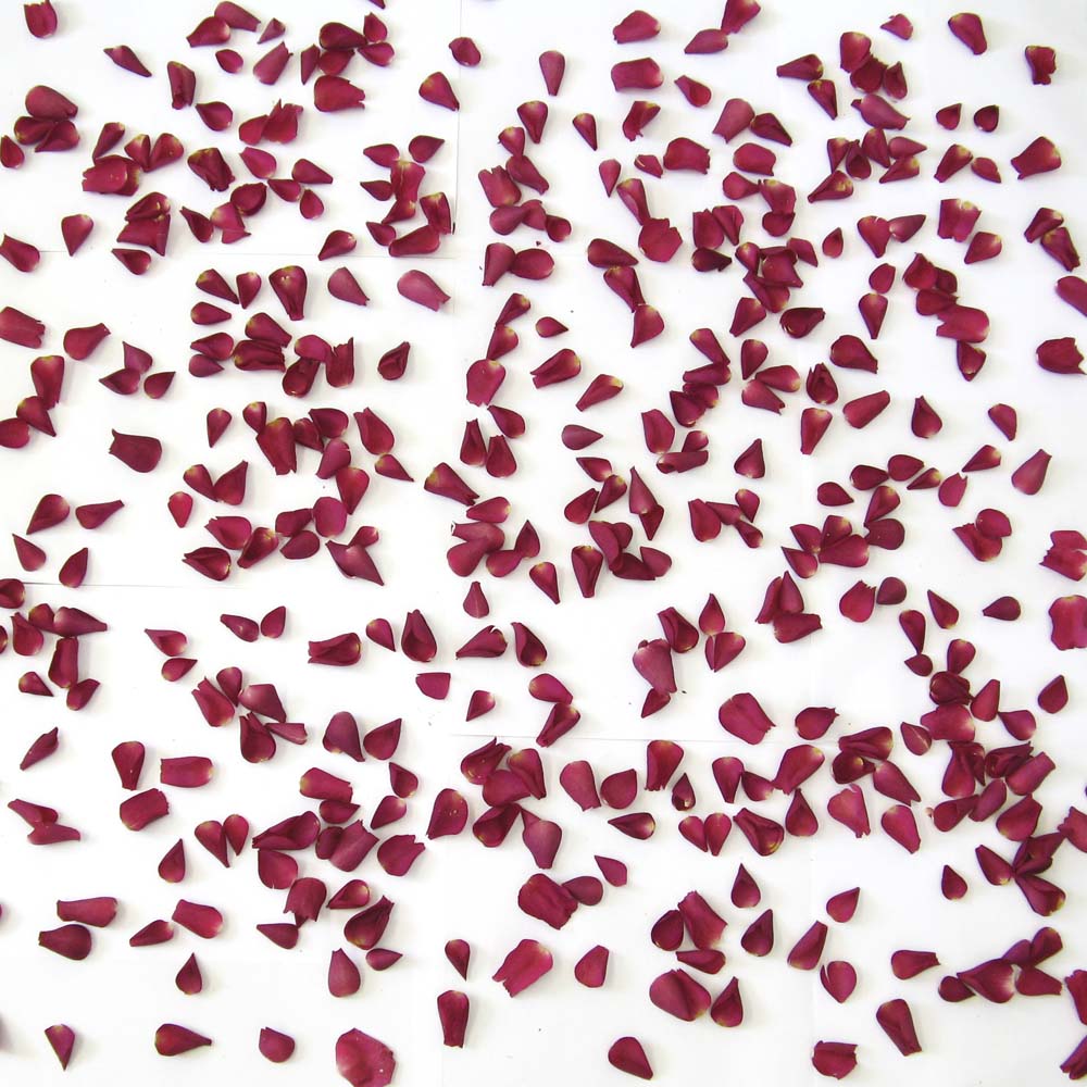 Large Natural Rose Petals 50 Handfuls Large Natural Rose Petals 50 Handfuls