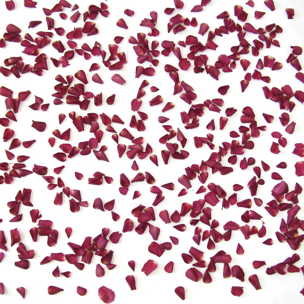 Large Natural Rose Petals 60 Handfuls Large Natural Rose Petals 60 Handfuls
