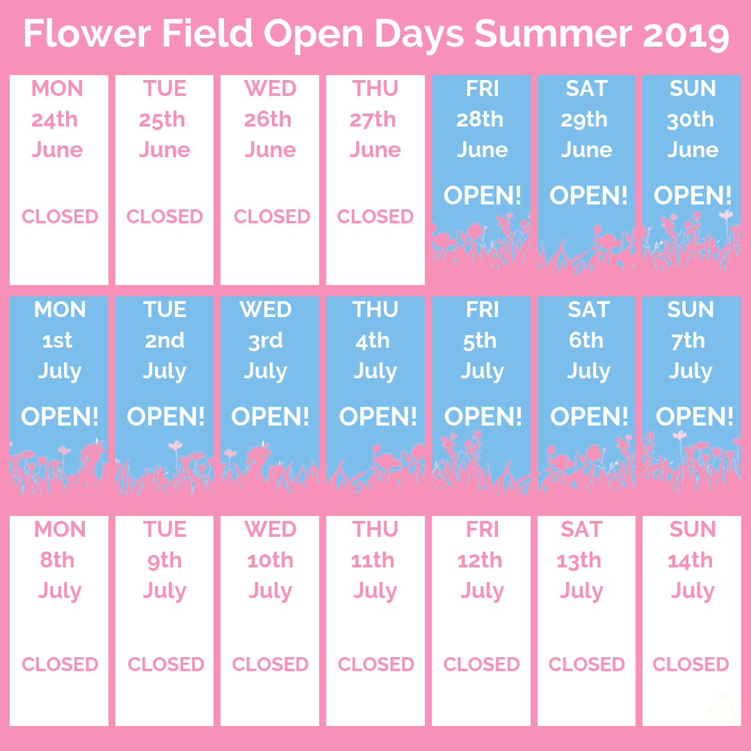 The Confetti Flower Field open days – calender 2019 The Confetti Flower Field open days - calender 2019