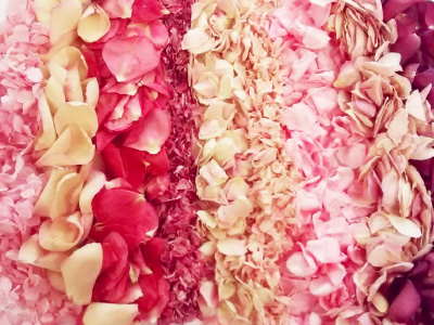 Real-flower-petal-confetti-company-confetti-direct-menu-image-colour-chart-1 Pink confetti petals
