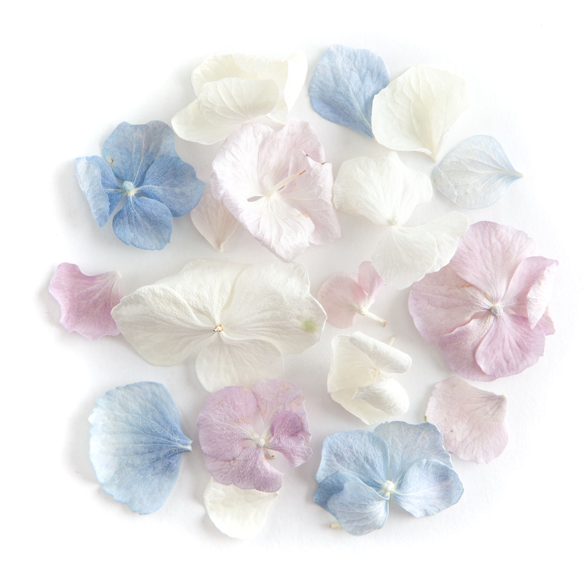 Hydrangea Petals - Lilac, Blue and White