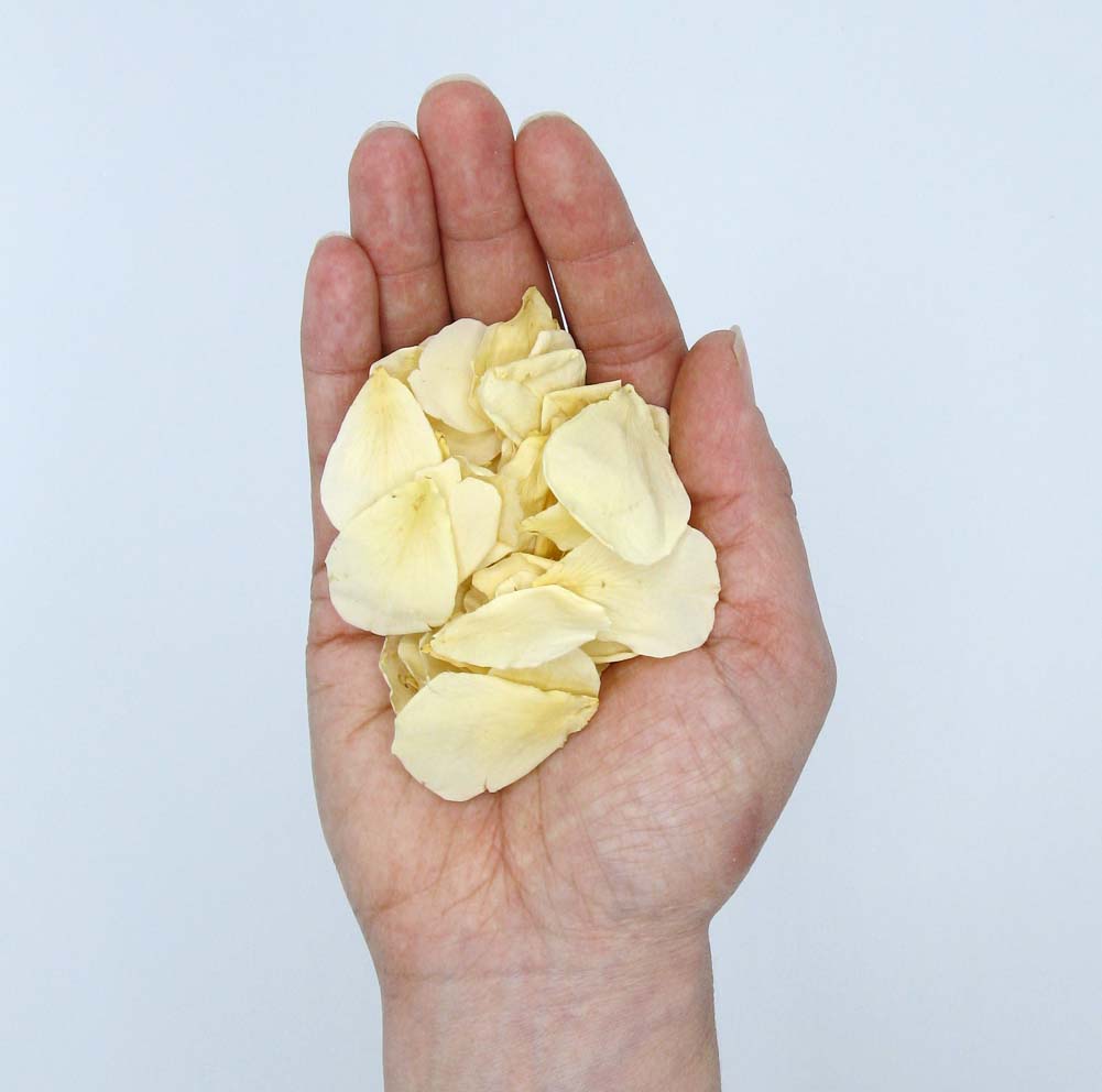 How much confetti do you need? A photo of one handful of Small Natural Rose Petals