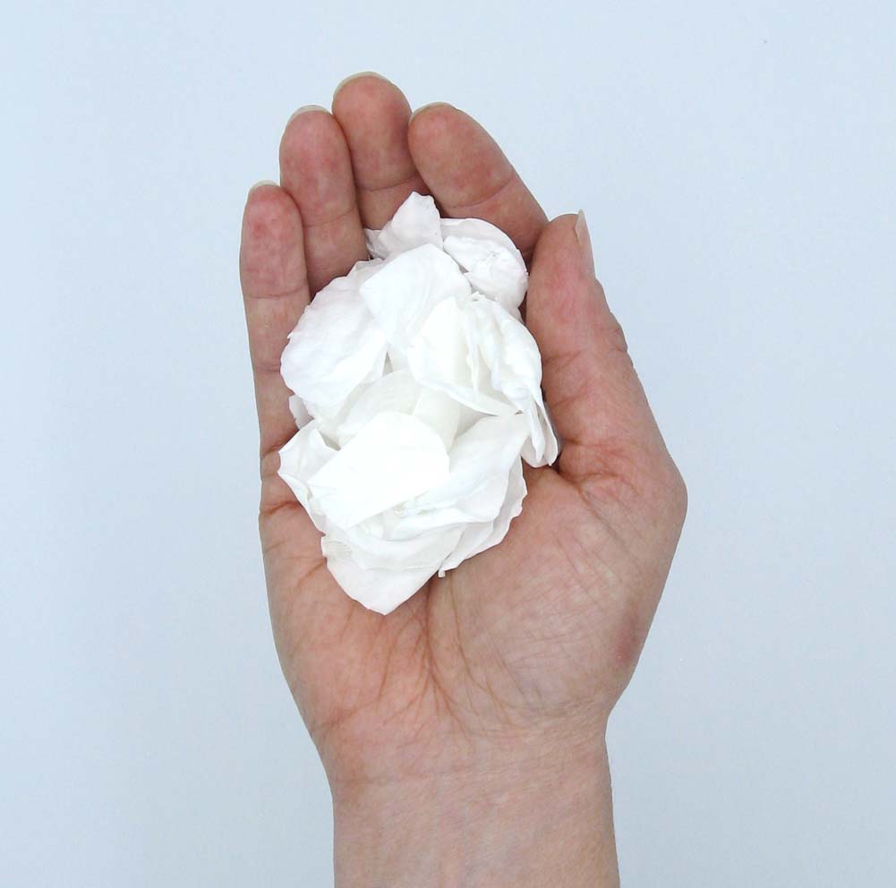 One handful of Coloured Rose Petals One handful of Coloured Rose Petals
