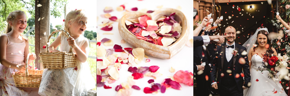 biodegradable confetti – rose petals biodegradable confetti - rose petals