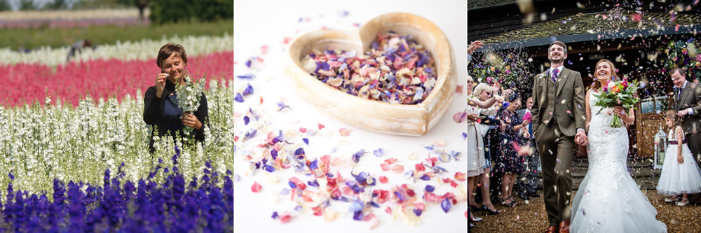 Biodegradable Confetti