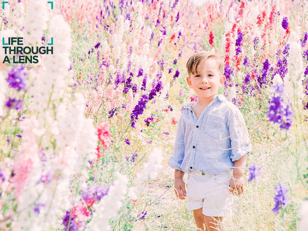 The Confetti Flower Field – Life Through a Lens The Confetti Flower Field - Life Through a Lens