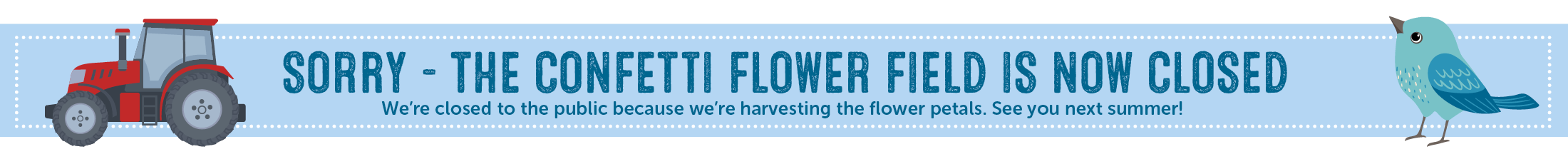 Real Flower Petal Confetti banners 2200×2306