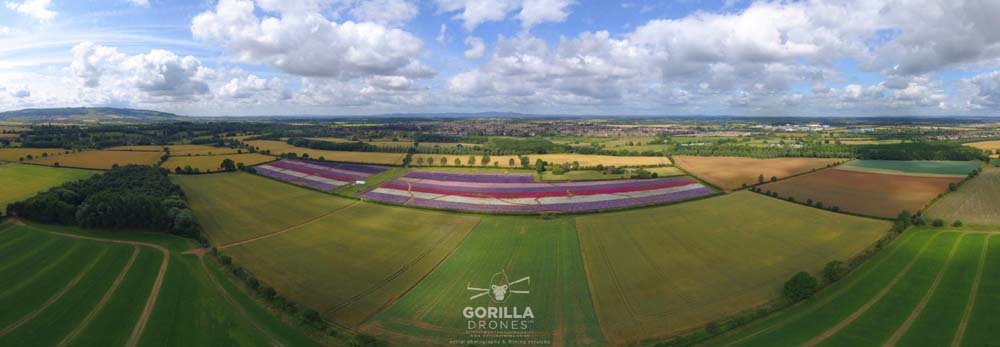 Photo by Gorilla Drones, 2019, The Confetti Flower Field, The Real Flower Petal Confetti Company, Worcestershire The Confetti Flower Field from the air, with Bredon Hill, Pershore and the Malvern Hills in the background