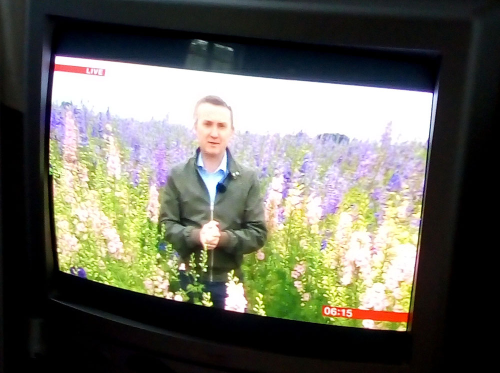 bbc breakfast confetti flower field 2019 (2) confetti fields