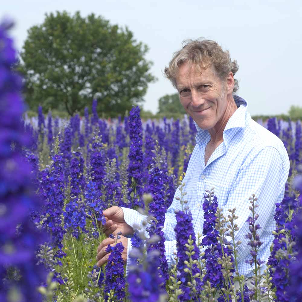 Charles Hudson in The Flower Field Charles Hudson in The Confetti Flower Field