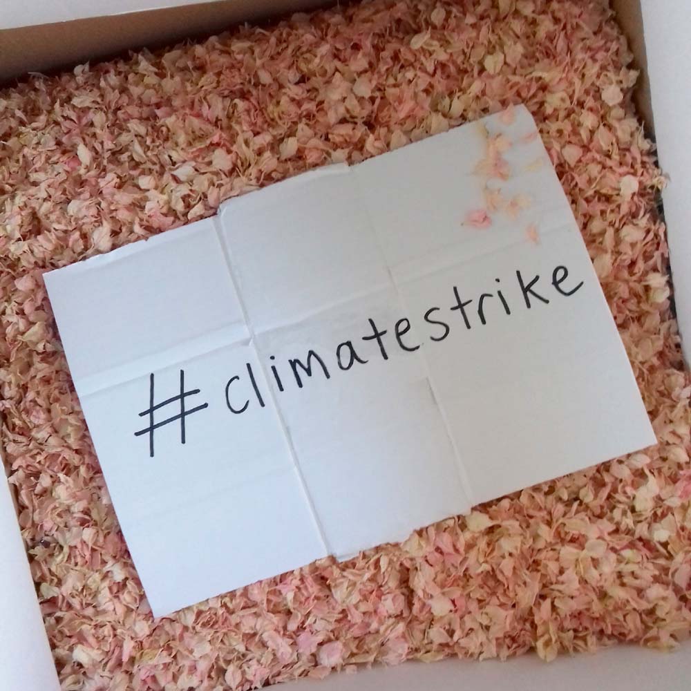 Eco-friendly confetti Delphinum petal confettiwith sign - #climatestrike