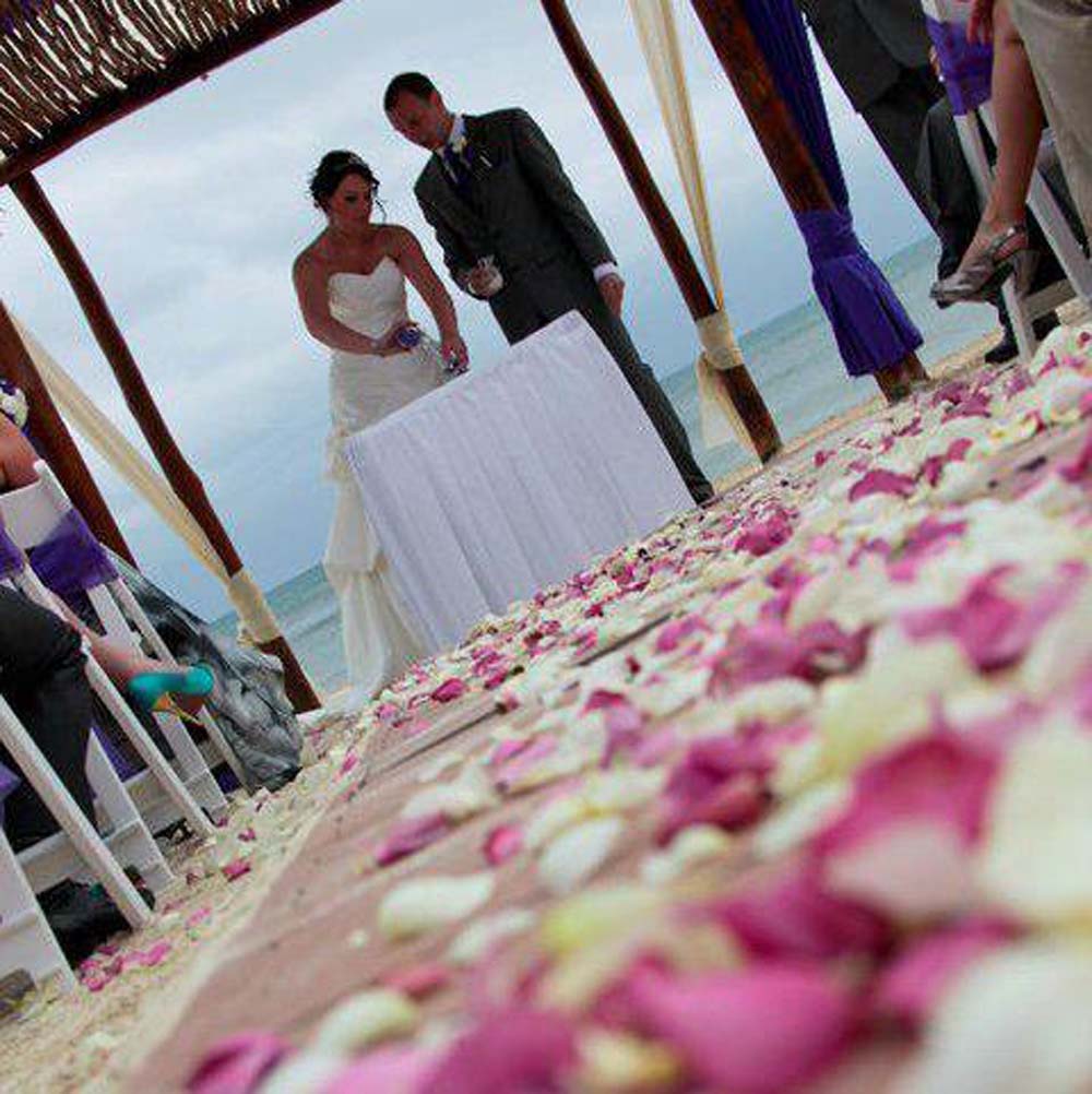 Large Natural Rose Petals down the aisle Large Natural Rose Petals down the aisle