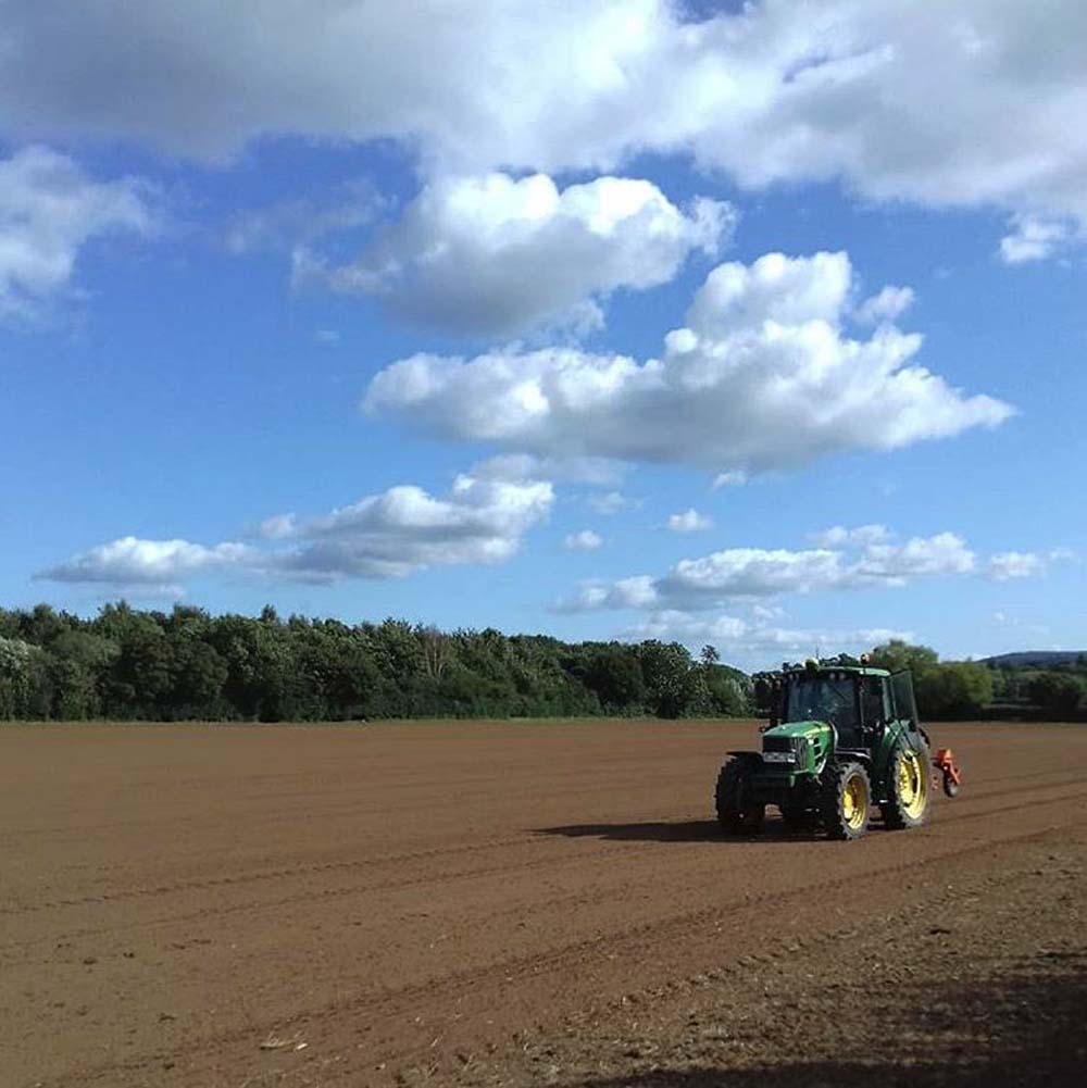 The Wyke Manor Estate Tractor in a field, Wyke Manor Estate