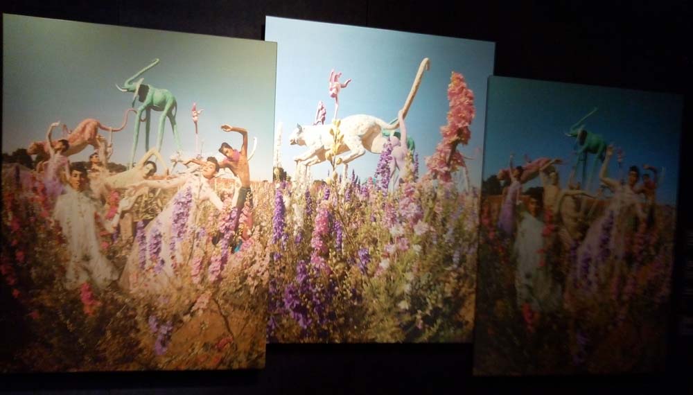 Tim Walker Wonderful Things featuring The Confetti Flower Field Panoramic photo from the Tim Walker Wonderful Things featuring The Confetti Flower Field