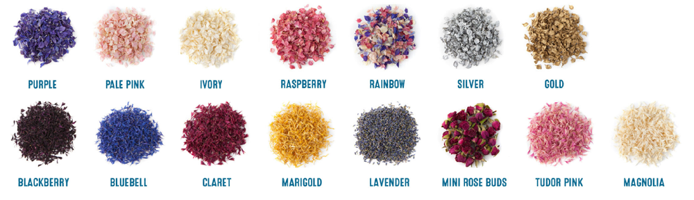 Real-flower-petal-confetti-for-wedding-Confetti-Delphinium-&-wildflower-Petals-colours Delphinium and Wildflower Colour-Chart