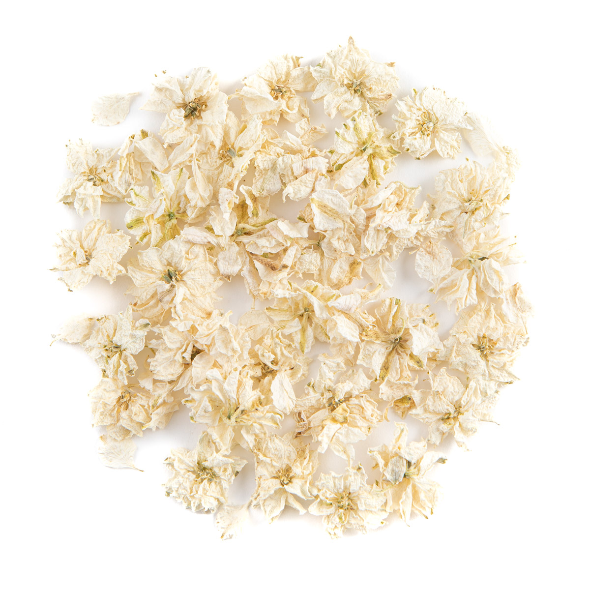 Ivory Delphinium Petals