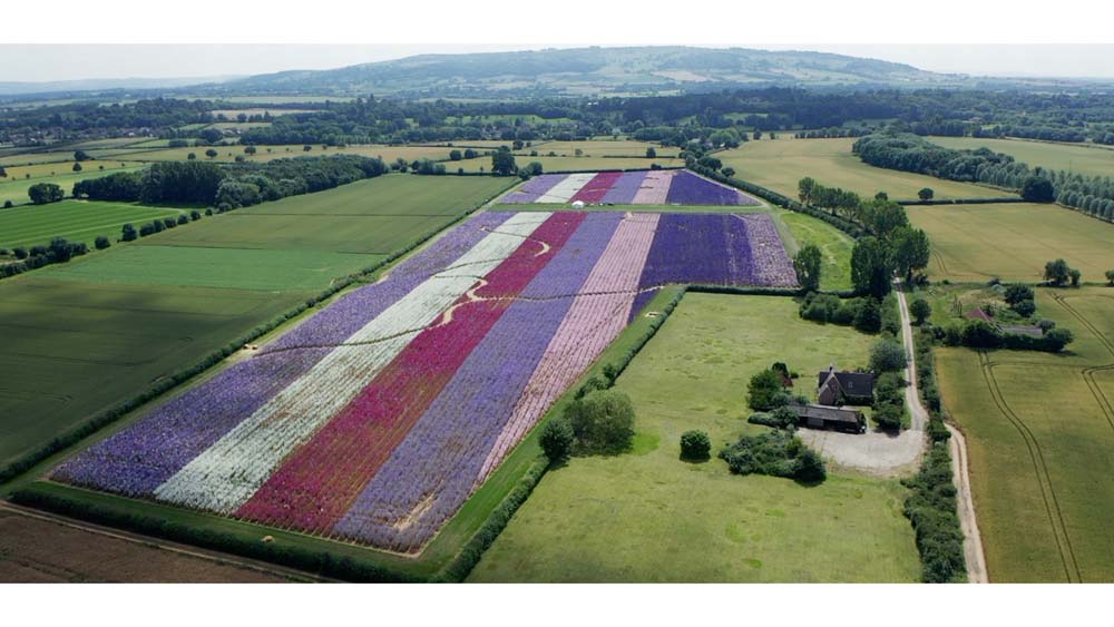 Wick Confetti Field from the air with view to Bredon Hill