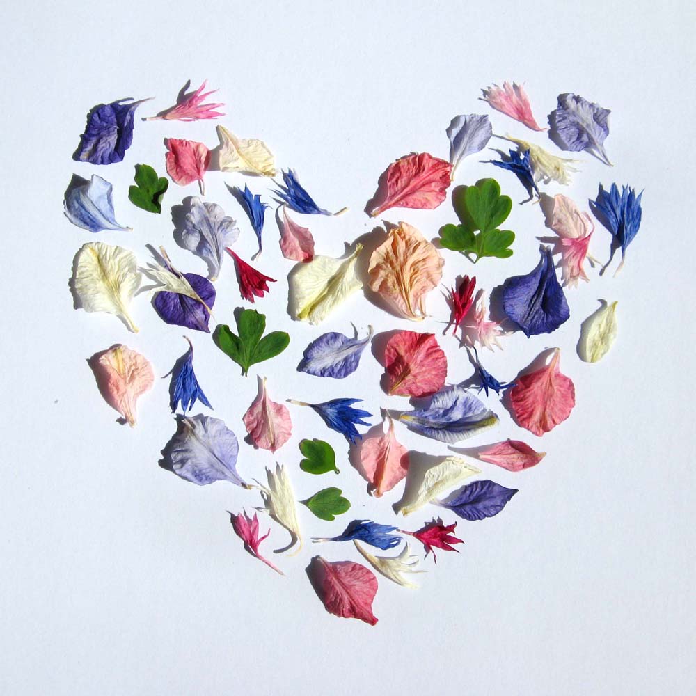 wedding confetti