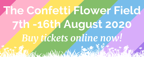 dates mobile banner confetti fields 2020