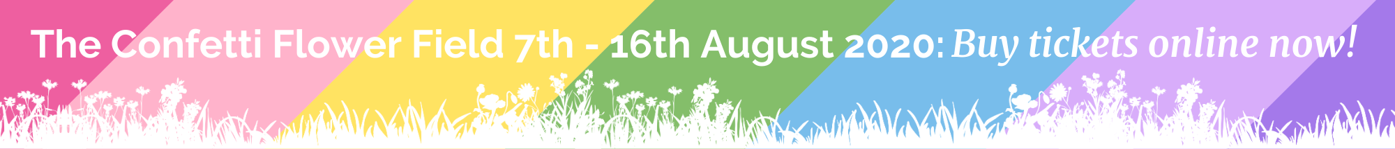 dates web banner 2 confetti fields 2020