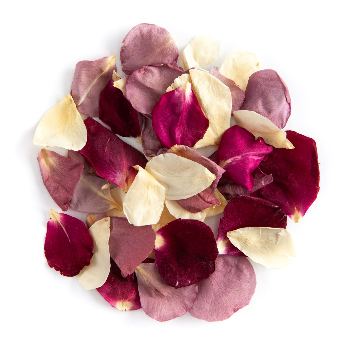 Rose Memorial Petals - Image 10