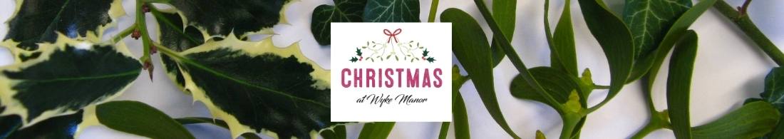 Christmas banner with logo