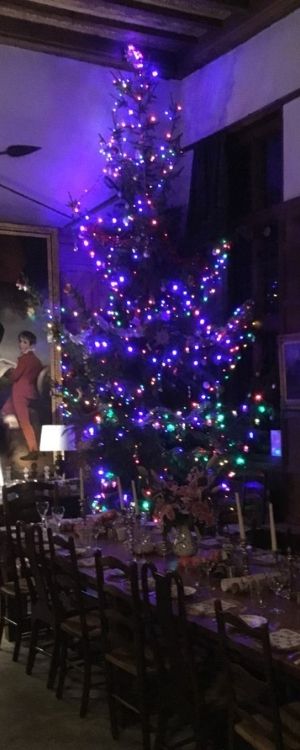 The Wyke Manor Christmas Tree wyke manor at christmas
