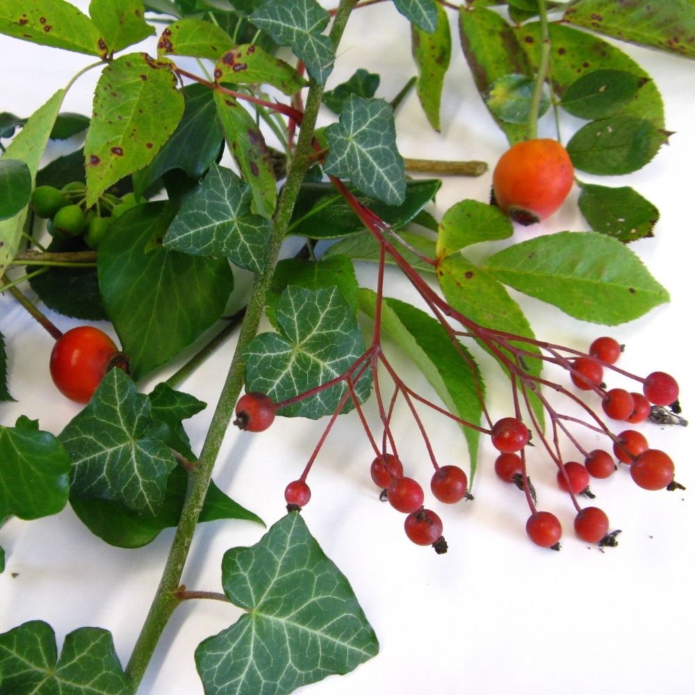 natural christmas decorations