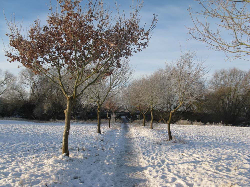 wyke manor estate – bridge meadow in the snow wyke manor estate - bridge meadow in the snow