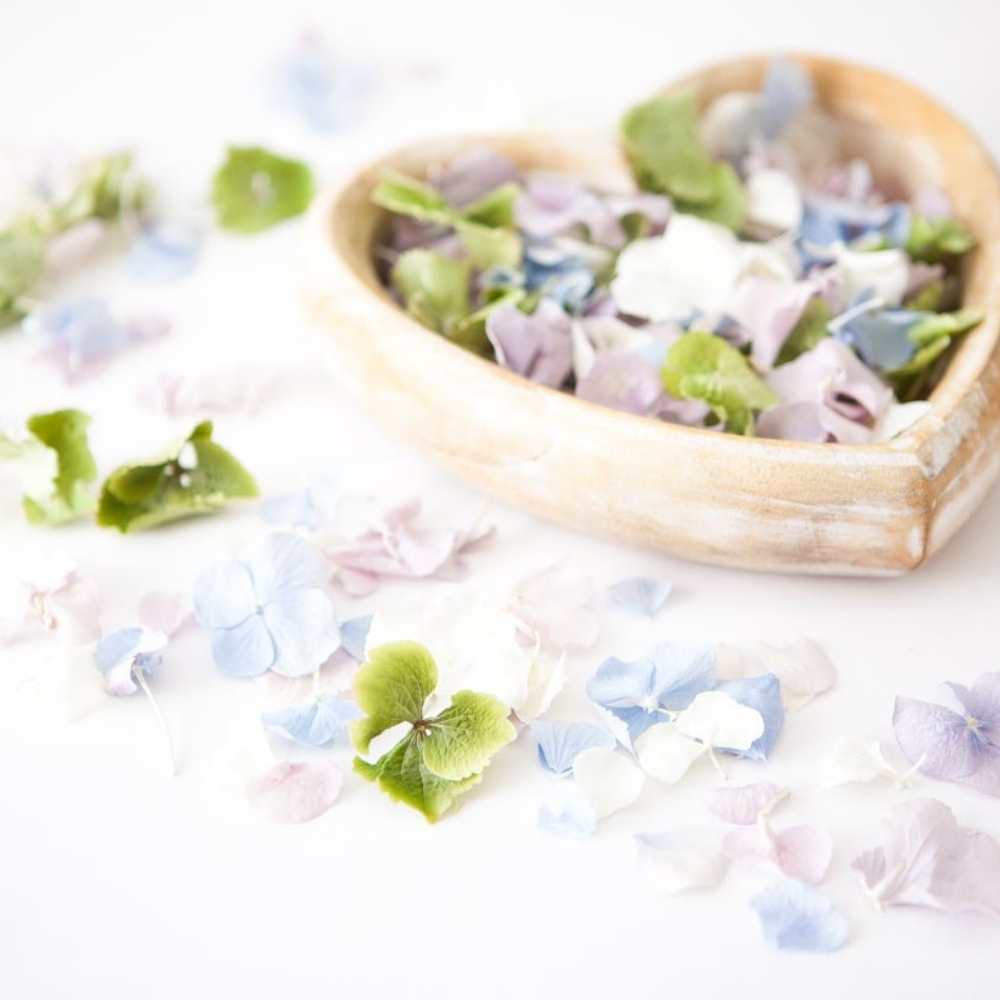 hydrangea memorial petals