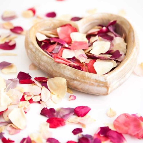 rose memorial petals