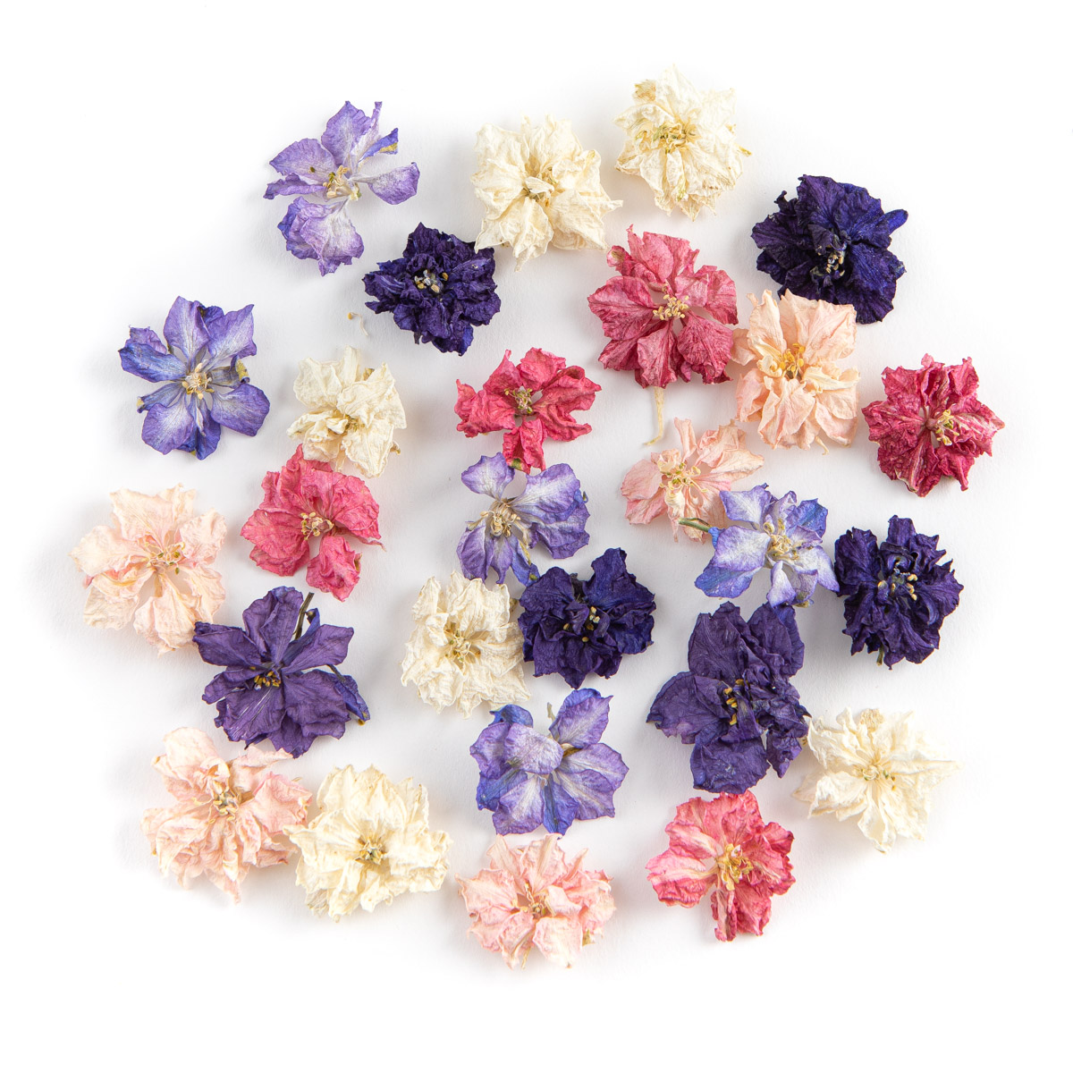 Rainbow Delphinium Flowers Confetti