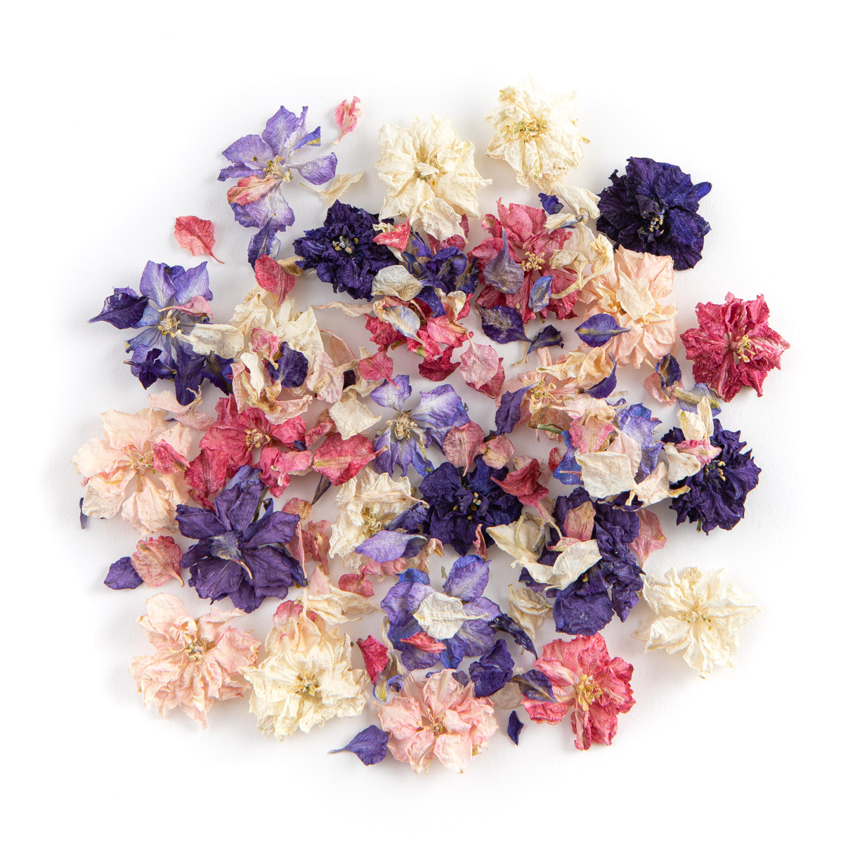 Ready to go: Confetti Cone Box - Rainbow Delphinium Confetti Petals (confetti cones for 20 guests) - Image 2