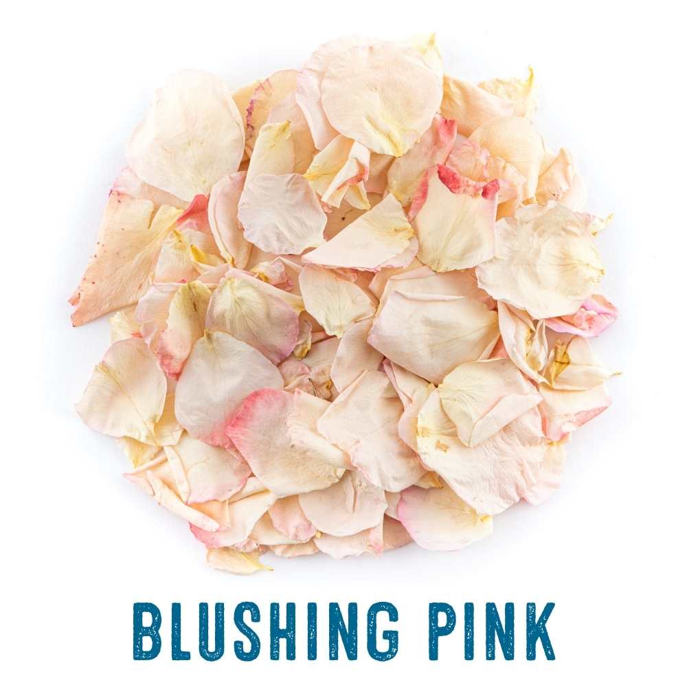 blushing pink rose petals